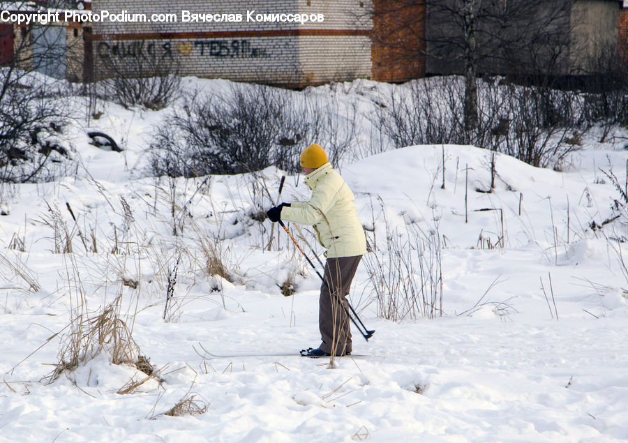 People, Person, Human, Piste, Skiing, Slide, Snow