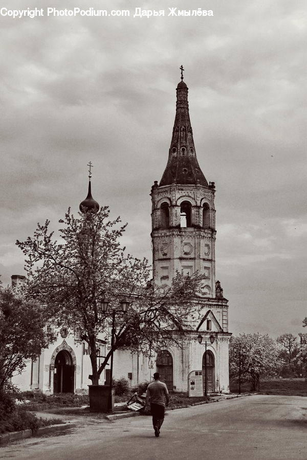 Architecture, Tower, Cathedral, Church, Worship, Plant, Tree