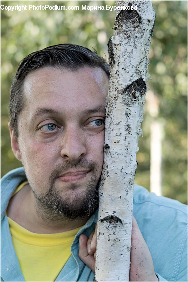 Human, People, Person, Birch, Tree, Wood, Face