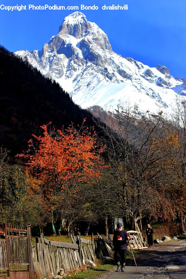 Bench, Crest, Mountain, Mountain Range, Outdoors, Peak, Cabin