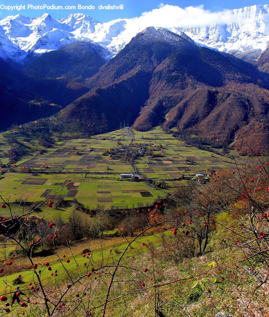 Field, Grass, Grassland, Land, Outdoors, Countryside, Mountain