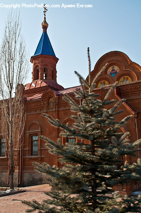 Plant, Potted Plant, People, Person, Human, Architecture, Bell Tower