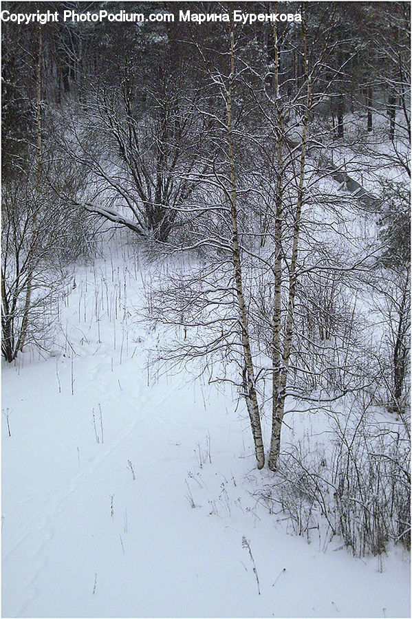 Blizzard, Outdoors, Snow, Weather, Winter, Landscape, Nature
