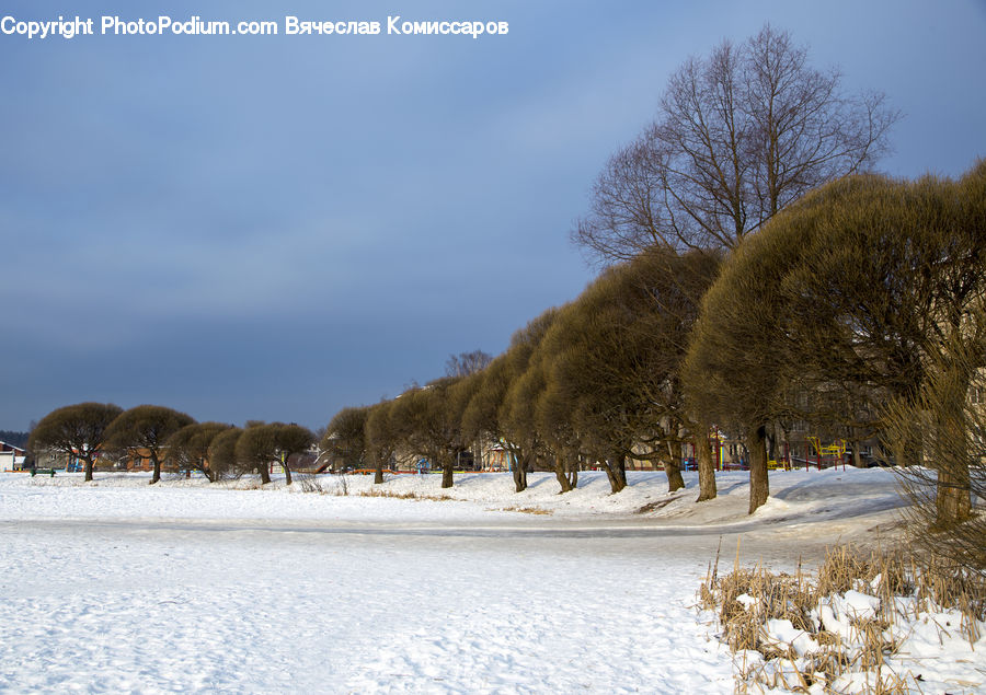 Ice, Outdoors, Snow, Grassland, Mound, Landscape, Nature