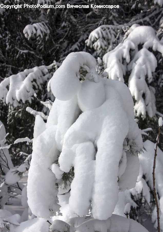 People, Person, Human, Art, Sculpture, Statue, Ice