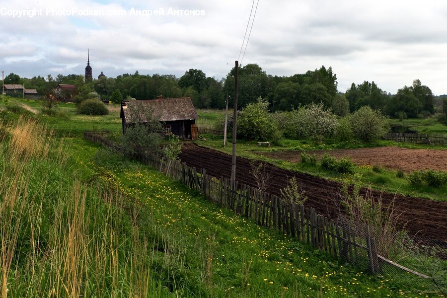 Dirt Road, Gravel, Road, Field, Grass, Grassland, Plant