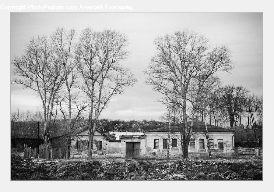 Tomb, Countryside, Outdoors, Field, Rural, Plant, Tree