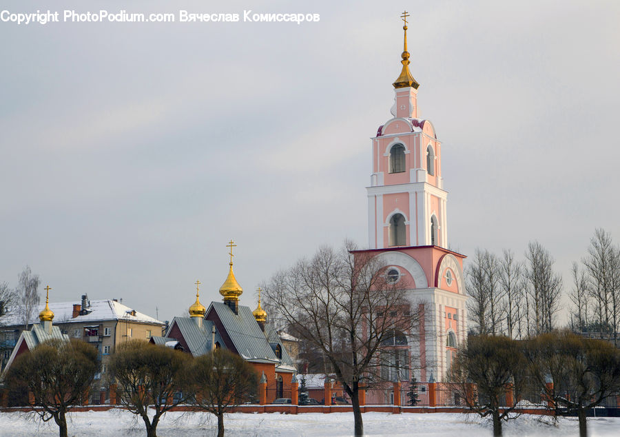 Architecture, Bell Tower, Clock Tower, Tower, Church, Worship, Plant