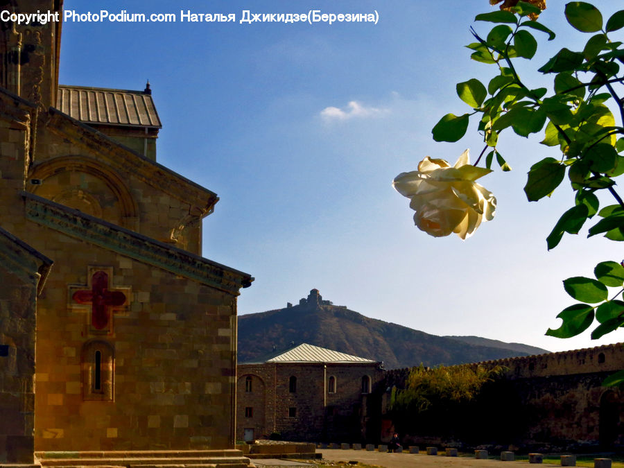 Cross, Crucifix, Architecture, Bell Tower, Clock Tower, Tower, Plant