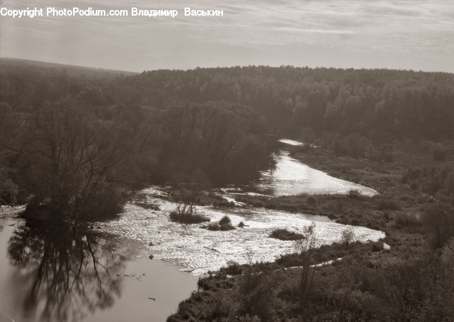 Land, Marsh, Outdoors, Swamp, Water, River, Countryside