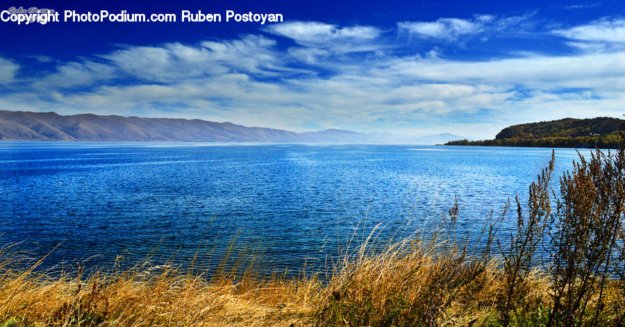 Lake, Outdoors, Water, Azure Sky, Cloud, Sky, Field