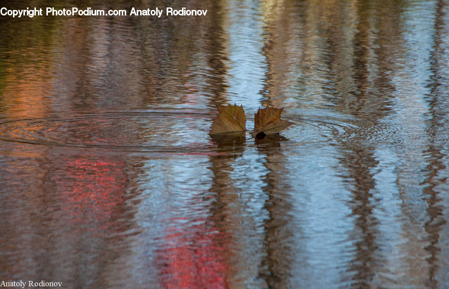 Outdoors, Ripple, Water