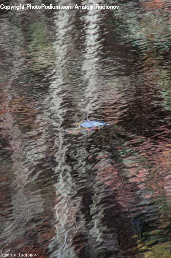 Outdoors, Ripple, Water