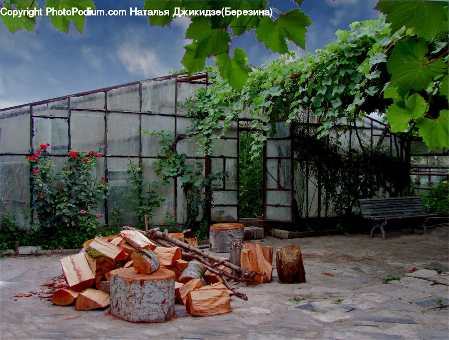 Rubble, Bulldozer, Tractor, Vehicle, Bonsai, Plant, Potted Plant
