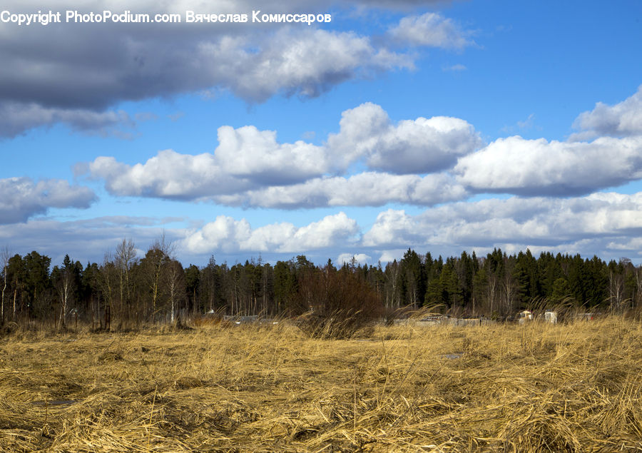 Field, Grass, Grassland, Land, Outdoors, Cloud, Cumulus