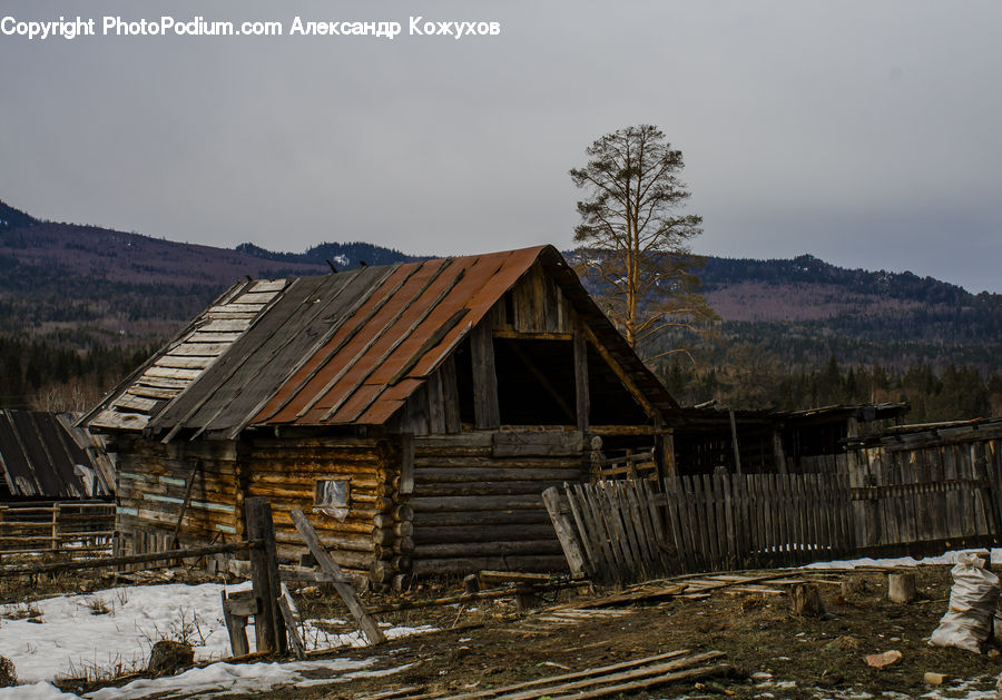 Building, Cabin, Shelter, Hut, Log Cabin, Shack, Rural