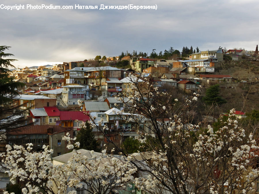 Building, Downtown, Town, Rubble, Neighborhood, Housing, Villa