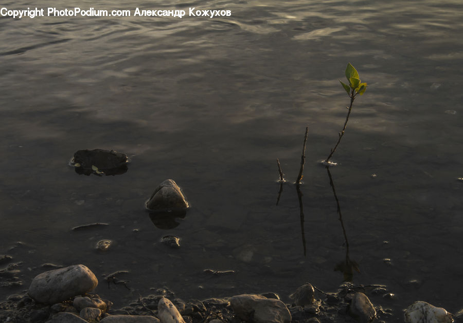 Rock, Outdoors, Sand, Soil, Sea, Water