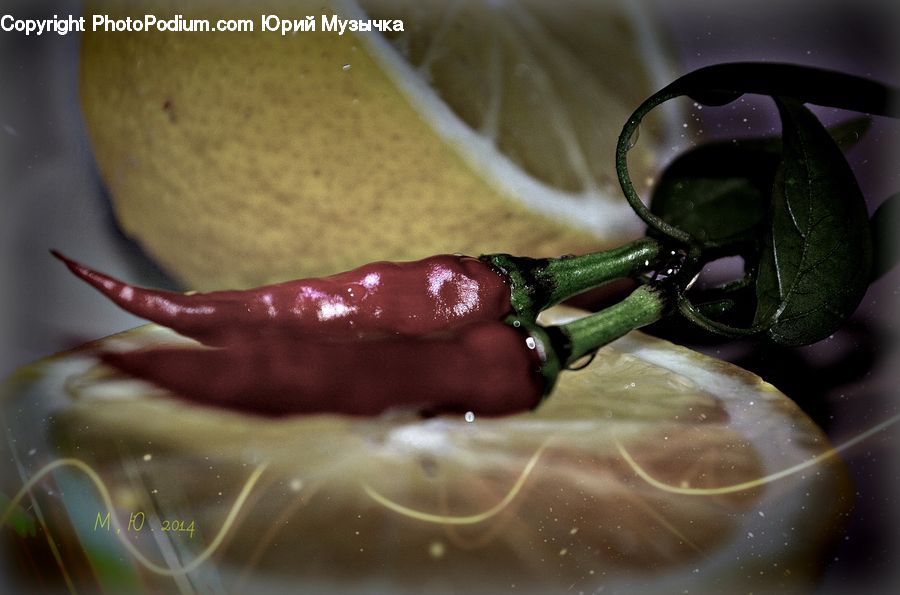 Pepper, Produce, Vegetable, Aurora, Light, Night, Outdoors