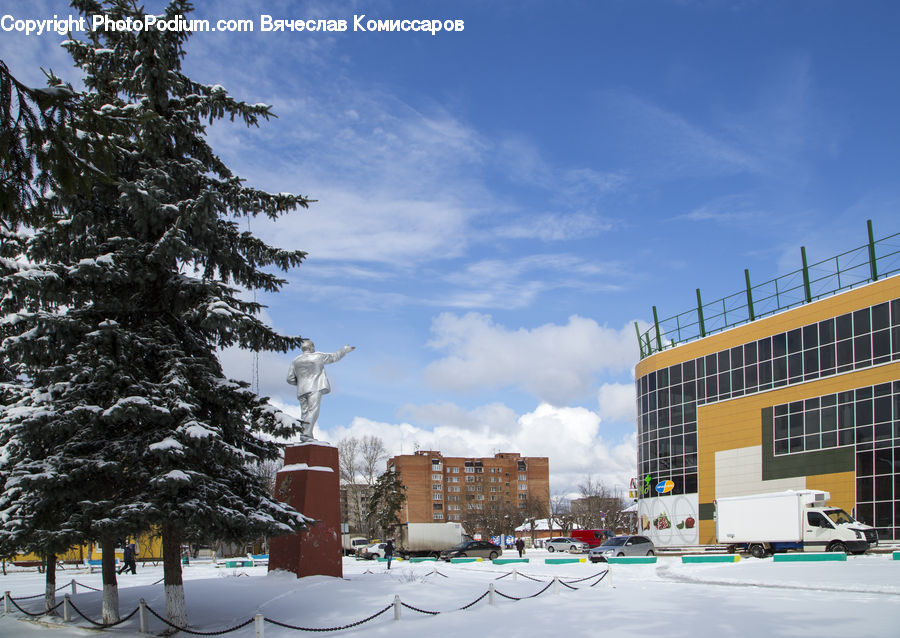 Conifer, Fir, Spruce, Wood, Building, Housing, Plant