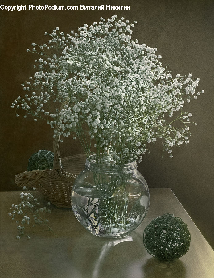 Glass, Goblet, Blossom, Flower, Lilac, Plant, Potted Plant