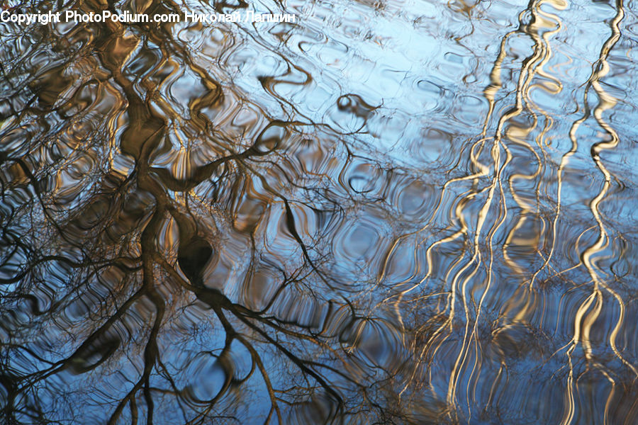 Outdoors, Ripple, Water, Plant, Vegetation