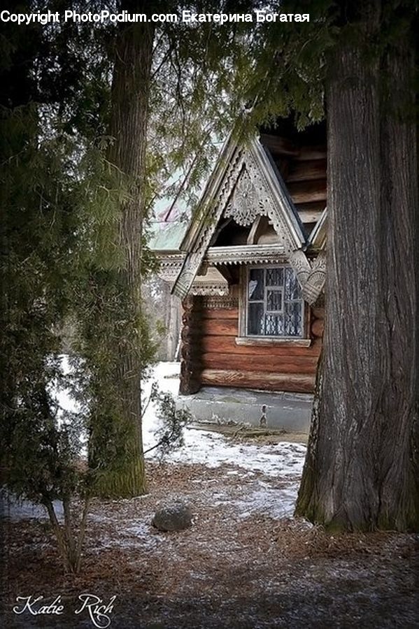 Building, Cottage, Housing, Cabin, Hut, Rural, Shack