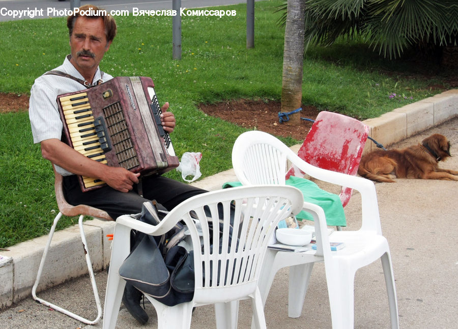 Accordion, Musical Instrument, People, Person, Human, Chair, Furniture