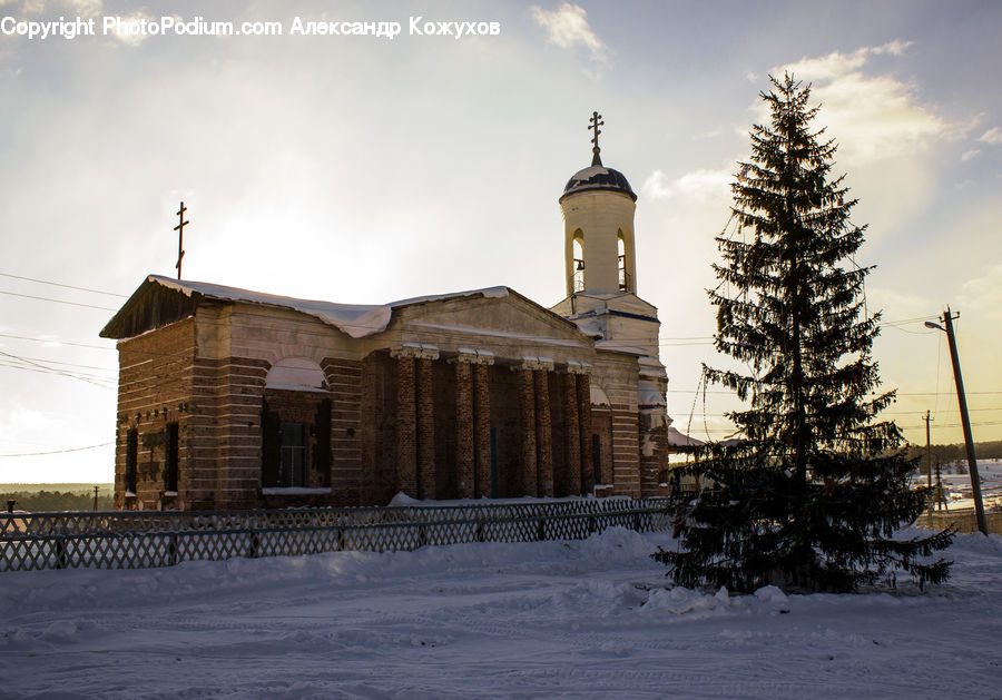 Conifer, Fir, Spruce, Wood, Architecture, Dome, Mosque