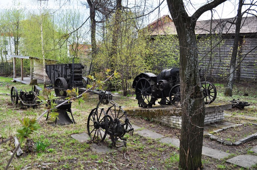 Train, Vehicle, Carriage, Horse Cart, Bench, Tractor, Forest