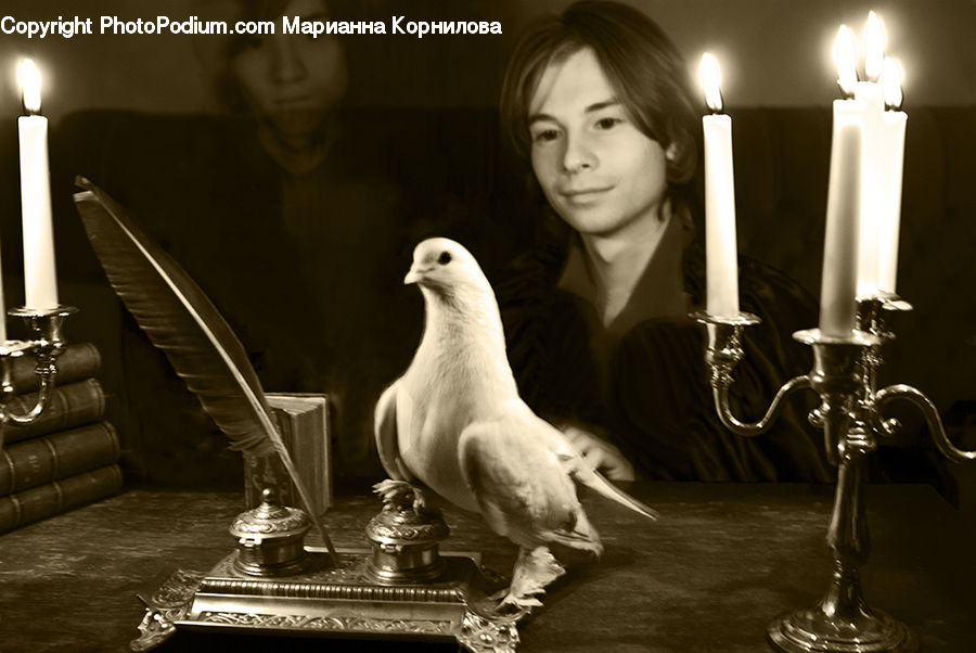 People, Person, Human, Bird, Dove, Pigeon, Portrait