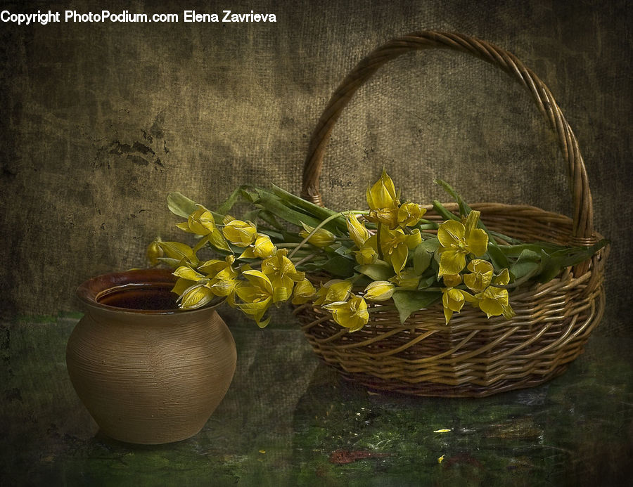 Basket, Pot, Pottery, Plant, Potted Plant, Flower Arrangement, Ikebana