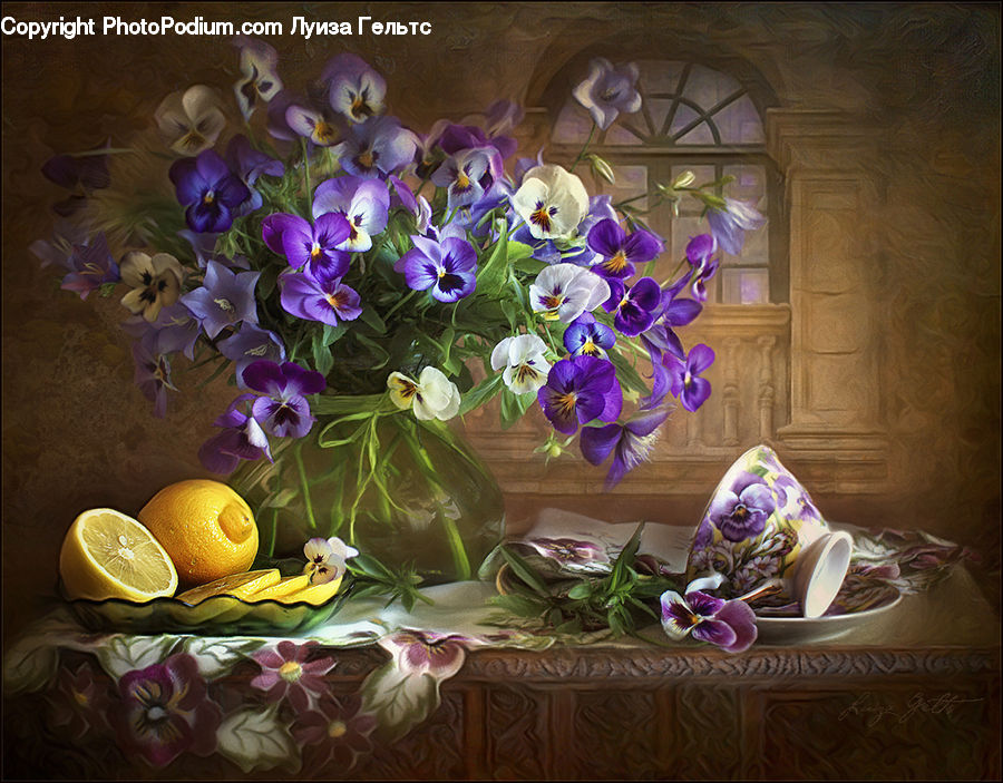 Blossom, Flora, Flower, Plant, Violet, Floral Design, Flower Arrangement