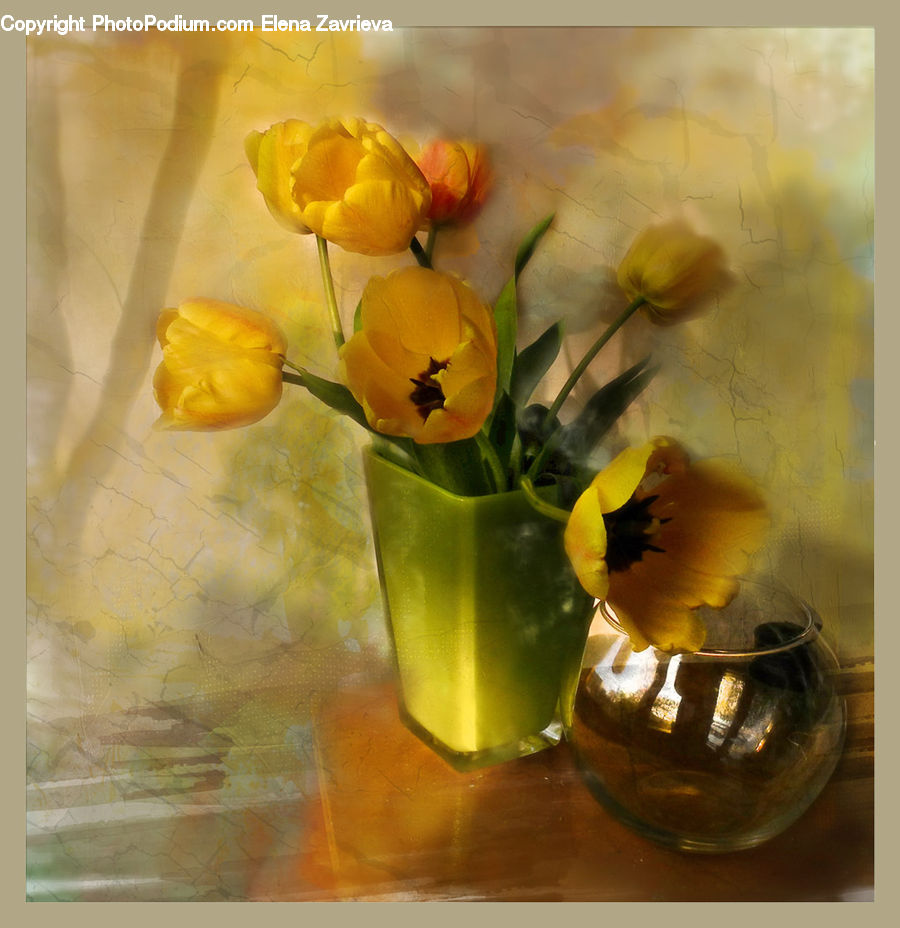 Plant, Potted Plant, Glass, Goblet, Blossom, Daffodil, Flora
