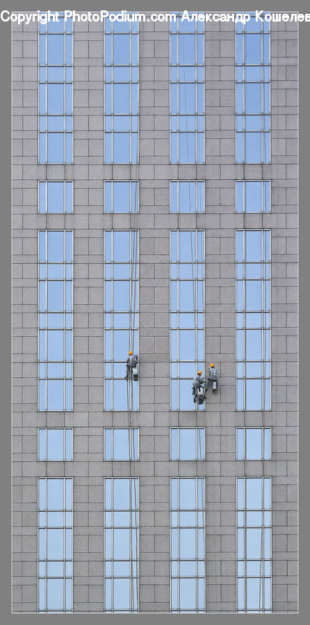 Window, Building, Housing, City, High Rise