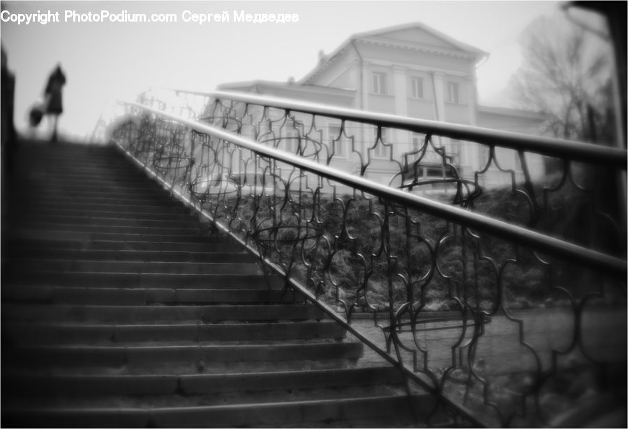 Railing, Boardwalk, Deck, Path, Sidewalk, Walkway, Dock