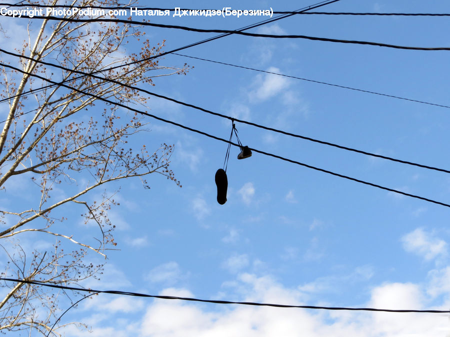 Cable, Electric Transmission Tower, Power Lines, Bird, Blackbird, Crow