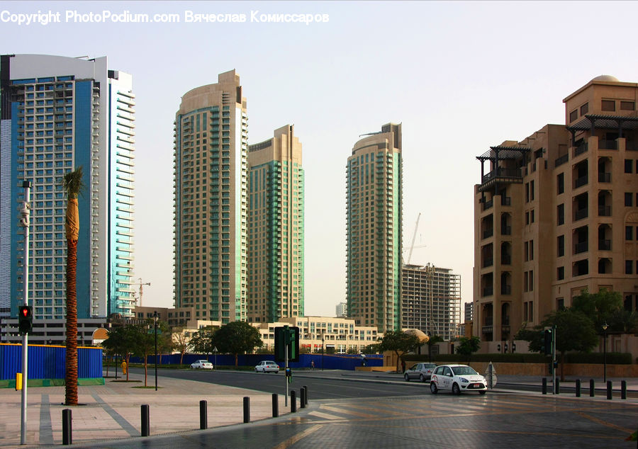 Plant, Potted Plant, Building, Housing, Bench, City, High Rise