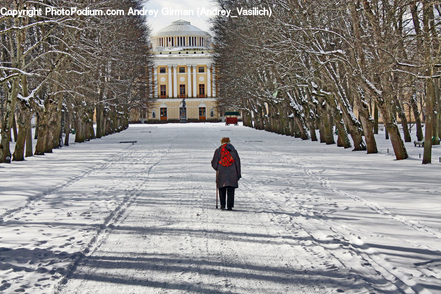 Campus, Building, Housing, Villa, Ice, Outdoors, Snow