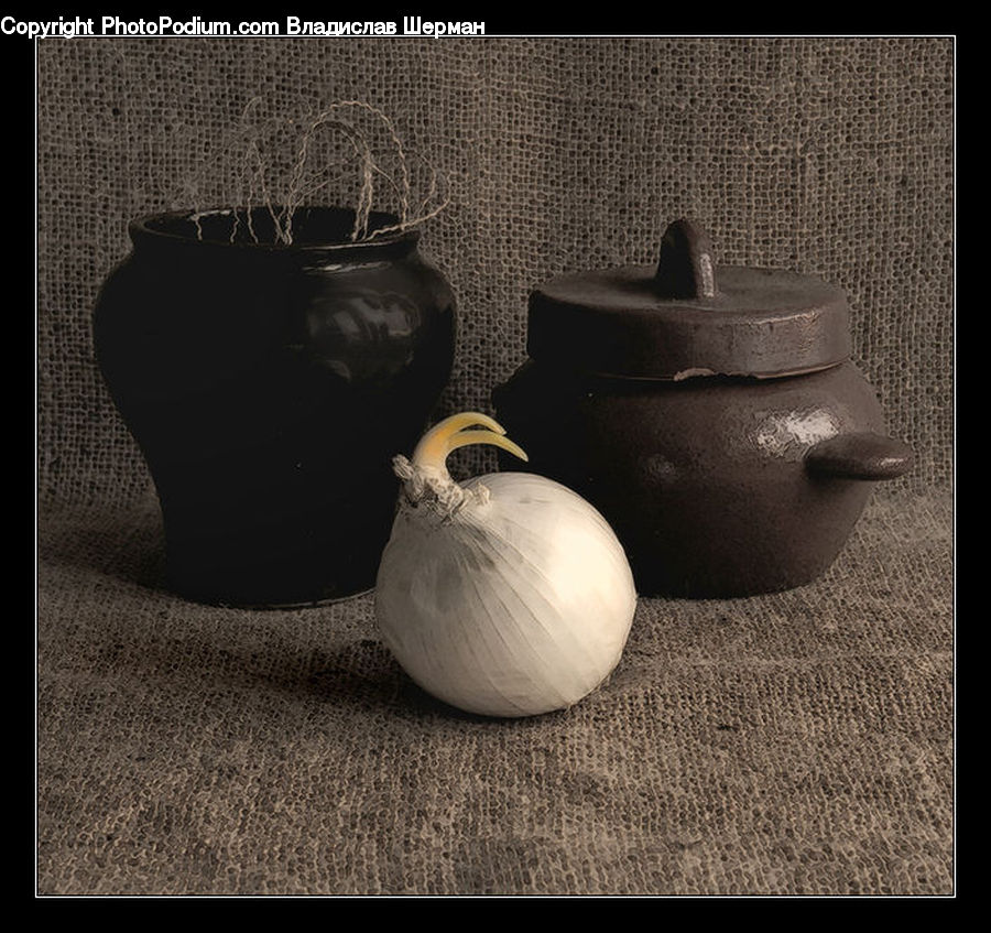Garlic, Plant, Onion, Produce, Shallot, Vegetable, Pot