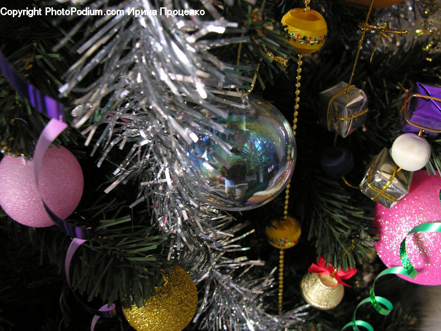Glass, Bling, Ornament, Accessories, Fractal, Conifer, Fir