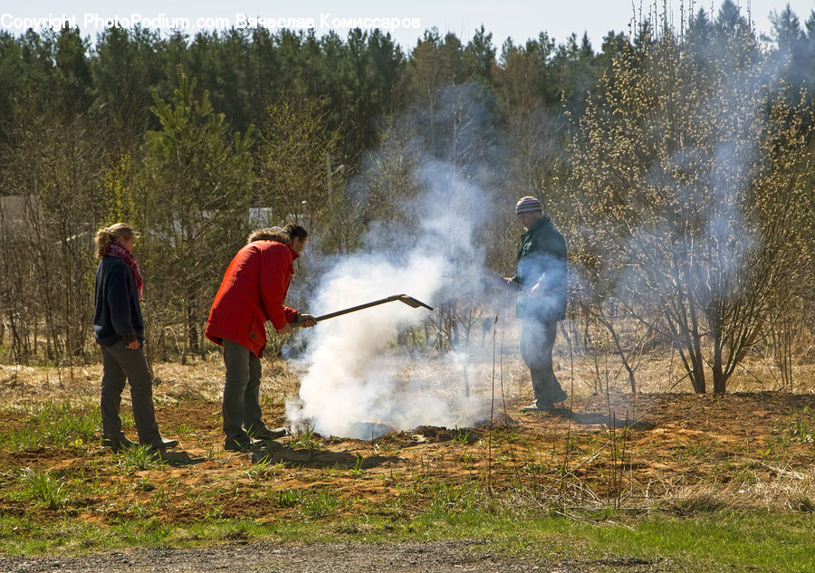 Human, People, Person, Leisure Activities, Walking, Forest, Vegetation