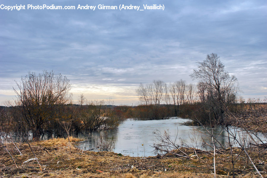 Land, Marsh, Outdoors, Swamp, Water, Pond, Field