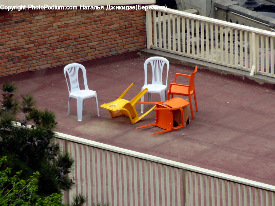 Chair, Furniture, Plant, Potted Plant, Bush, Vegetation, Building