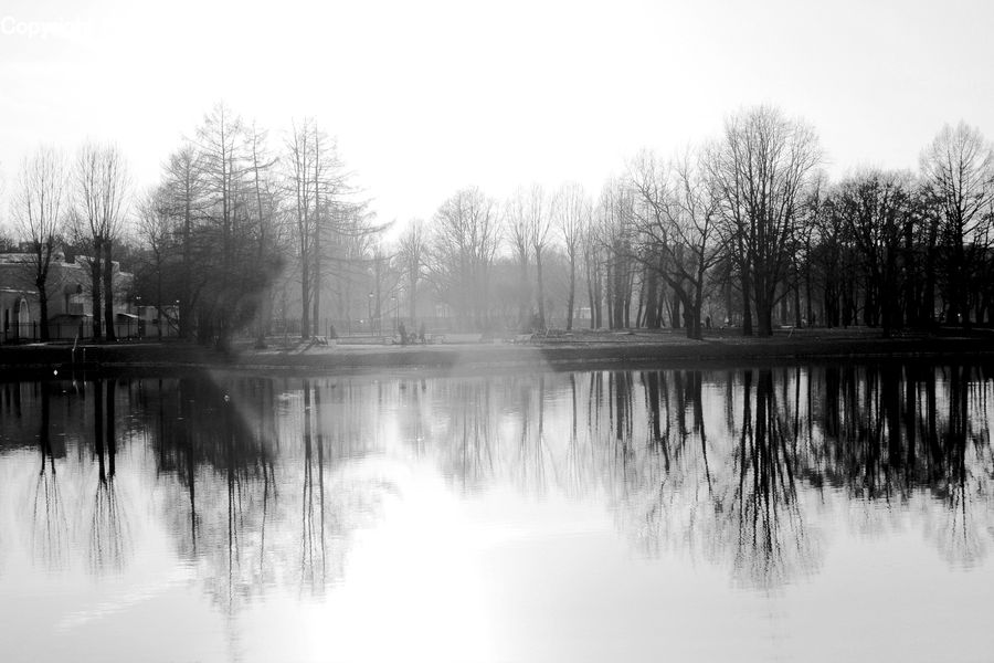 Outdoors, Pond, Water, Canal, River, Plant, Tree