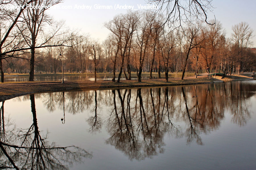 Outdoors, Pond, Water, Flood, Field, Grass, Grassland