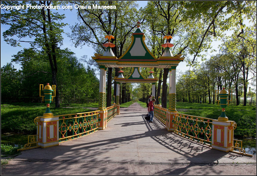 Gazebo, Cabin, Tree House, Plant, Tree, Architecture, Pagoda