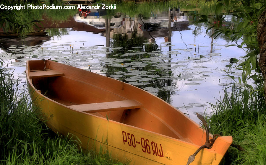Boat, Canoe, Rowboat, Dinghy, Outdoors, Pond, Water