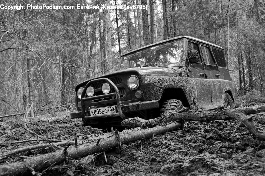 Rust, Car, Suv, Vehicle, Forest, Vegetation, Automobile
