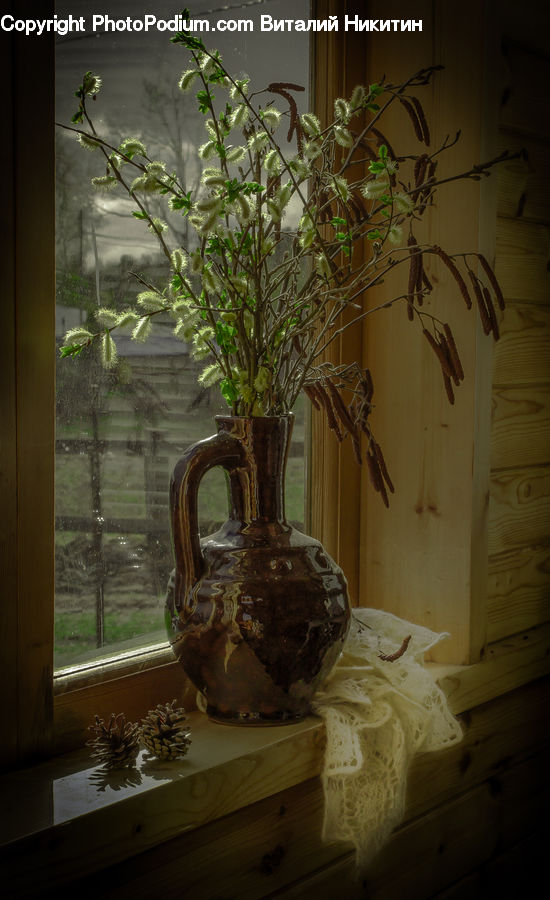 Plant, Potted Plant, Bonsai, Tree, Fern, Crypt, Flower Arrangement